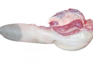 Afordable Beef Tongue Price | Buy Best Beef Tongue Online