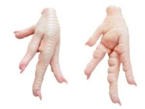 Chicken Feet & Paws