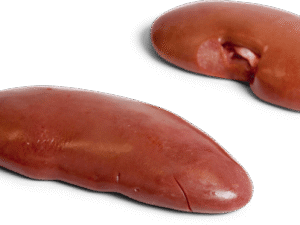 Frozen Pork Kidney - Frozen Pork Exporters