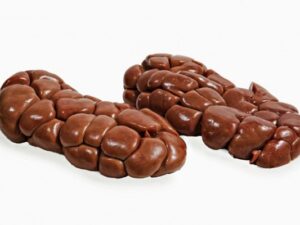 HALAL Frozen Beef Kidney - Minerva Foods SA